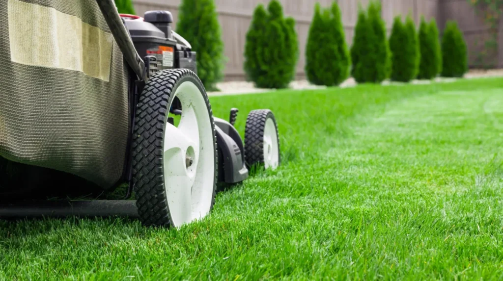 Lawn Mower Repair Pace FL: Why Your Mower Leaves Uncut Strips Across the Yard