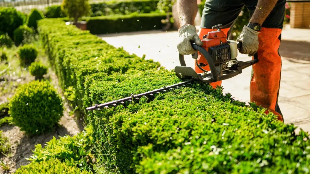 Lawn Service Pace FL: What Should a Complete