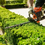 Lawn Service Pace FL: What Should a Complete Lawn Maintenance Visit Include?