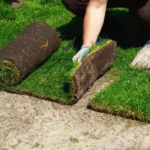 Pensacola Sod Installation: Why Proper Ground Leveling Matters Before the First Roll Is Laid